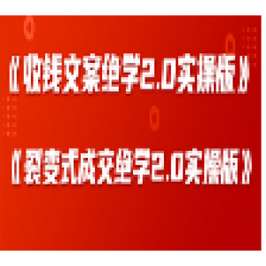 某社群内部VIP课程《收钱文案绝学2.0实操版》+《裂变式成交绝学2.0实操版》