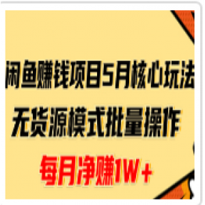 ​闲鱼赚钱项目核心玩法，无货源模式批量操作，每月净赚1W+（共2节视频）