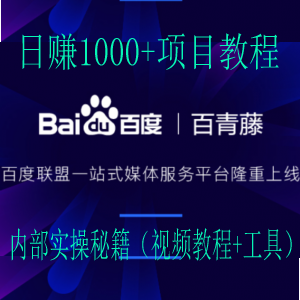 【价值6800元】最新百青藤日赚1000+项目教程，内部实操秘籍（视频教程+工具）