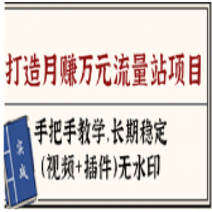 实战篇：打造一个月赚万元网站---长期稳定项目（视频+插件）