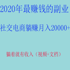 社交电商躺赚月入20000+，躺着就有收入（视频+文档）