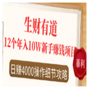 12个年入10W的新手赚钱项目，日赚4000操作细节攻略（23节录播视频）