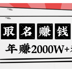 王通：不要小瞧任何一个小领域，取名技能也能快速赚钱，年赚2000W 利润