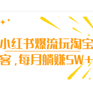 小红书爆流玩淘宝客，每月躺赚5W 「视频教程」