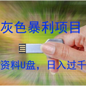 灰色暴利项目揭秘之资料U盘，日入过千