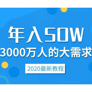 3000万人的大需求，年入50W的项目[视频教程]