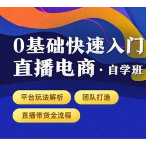 0基础快速入门直播电商课程：直播平台玩法解析-团队打造-带货全流程等环节