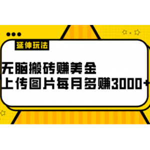 无脑搬砖项目，上传图片赚美金，每月多赚3000 （附延伸玩法）