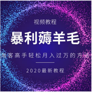 淘客高手暴利薅羊毛，轻松月入过万的方法[视频教程]