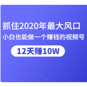 抓住2020年最大风口，小白也能做一个赚钱视频号，12天赚10W（赠送爆款拆解)