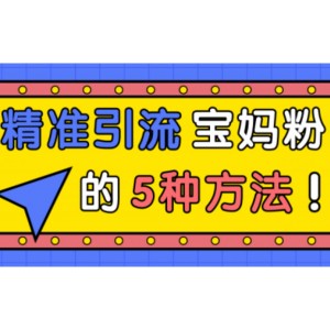 一学就会的精准引流宝妈粉的5种方法！「视频教程」