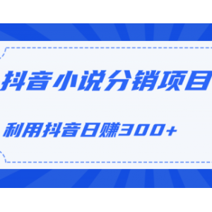利用抖音操作小说分销项目，简单操作轻松日赚300 【视频教程】