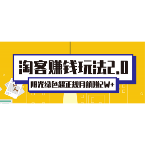 淘客赚钱玩法2.0，阳光绿色超正规项目，月躺赚2W 【视频课程】