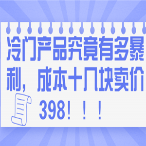 冷门产品究竟有多暴利，成本十几块，卖价398！！！「视频教程」
