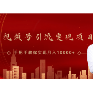微信视频号运营变现课，带你玩转视频号实现月入10000 【视频课程】