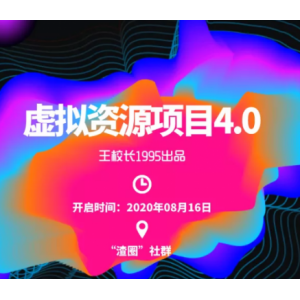 虚拟资源项目4.0，高利润虚拟单品，单利润80-800元左右