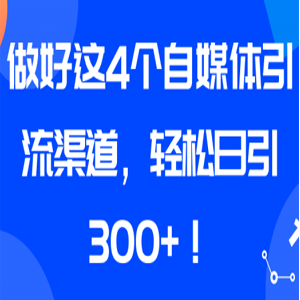 引流大法：做好这4个自媒体引流渠道，轻松日引300 ！【视频教程】