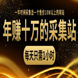年赚十万+采集站项目：做一个年赚十万的采集站，每天1小时操作，长期收益
