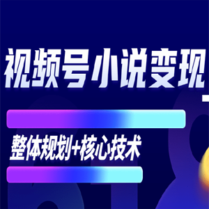 微信视频号小说变现项目：全新玩法零基础也能月入10000 【核心技术】