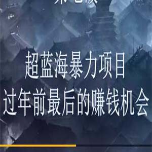 超蓝海暴力项目，过年前最后的赚钱机会【视频课程】