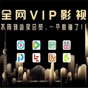 全网影视VIP卡项目：源头搭建，实现稳定增收