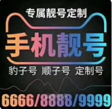 手机靓号赚钱项目（附：bug靓号申请下单教程）