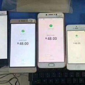 试玩新玩法，思维进阶从猪身上赚钱，月入20000 [视频教程]