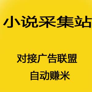 搭建小说采集站，对接广告联盟自动赚米（源码+教程）