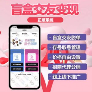 盲盒交友系统，日入过千