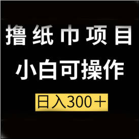 低价纸巾项目+升级玩法，小白可操作，日入300+