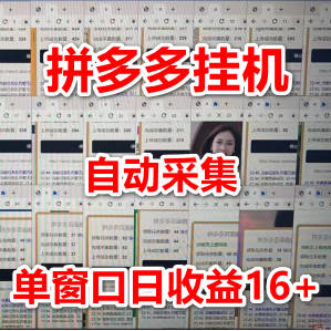 拼多多挂机全自动采集项目，单窗口日收益16+