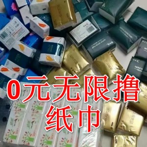 0元撸纸巾、每天30分钟，单号轻松月入4000+