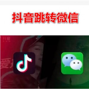 抖音跳转微信技术大全，私域导流黑科技（价值千元）