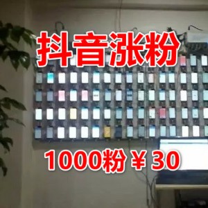 抖音粉丝业务配合淘宝玩法，日入2000+ 