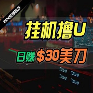 2024最新海外挂机撸U内部项目，日赚30美刀，全程无人值守