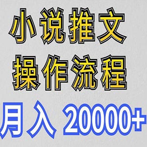 小说推文项目操作流程，月入20000+