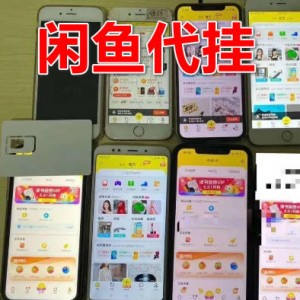 闲鱼代挂项目，单机月入4000+，可多号批量操